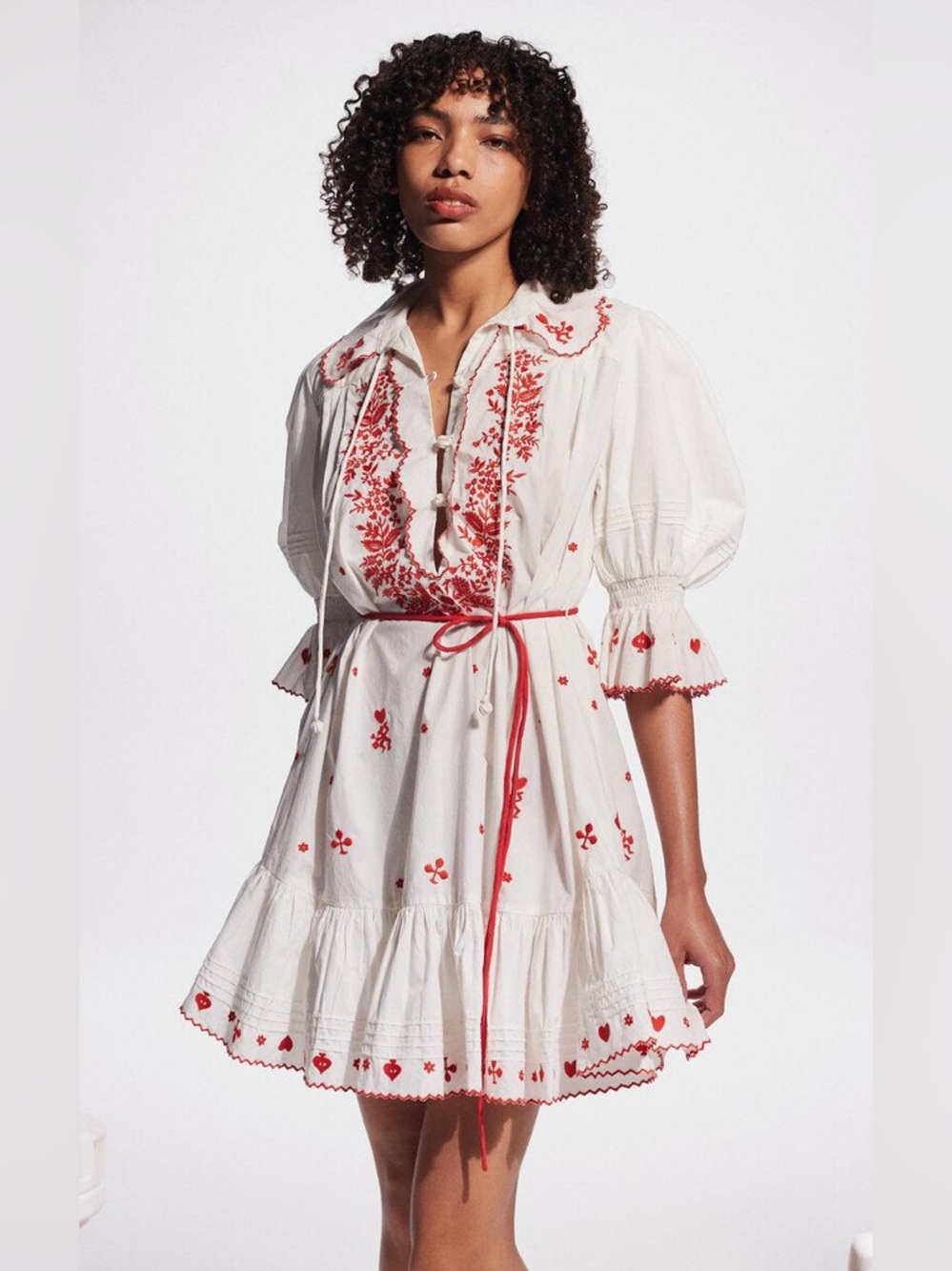 Alemais Hearts Embroidered Mini Dress - Picture 9 of 9